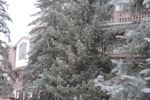 resIMG_20151126_144844_5276.JPG